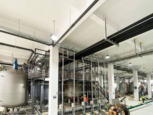 科學(xué)家發(fā)現(xiàn)衰老逆轉(zhuǎn)關(guān)鍵分子，富人圈爭相追捧，市場規(guī)模或達(dá)300億